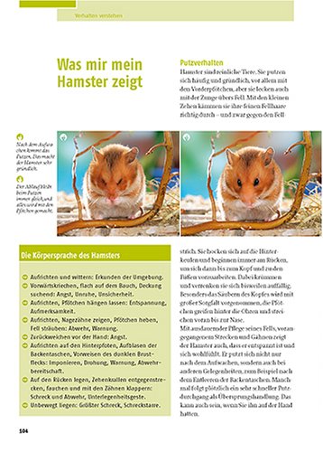 Mein Hamster - 6