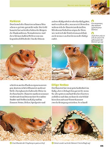 Mein Hamster - 7