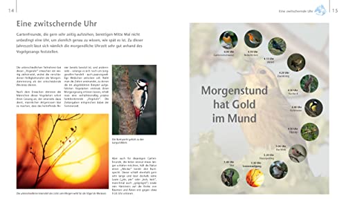Vögel zu Gast im Garten: Beobachten, bestimmen, schützen (inkl. CD) - 5