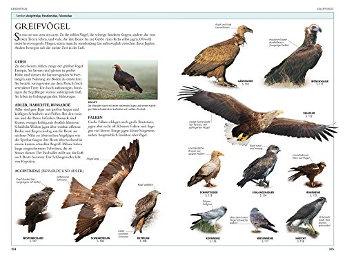 Vögel in Europa: Über 500 Arten mit Vogelstimmen-CD - 3