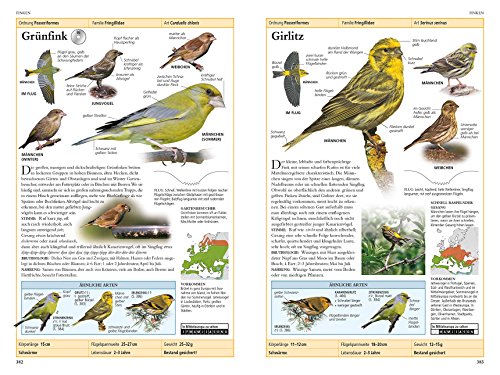 Vögel in Europa: Über 500 Arten mit Vogelstimmen-CD - 4