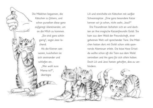Die magischen Tierfreunde – Susi Samtpfote geht verloren - 2