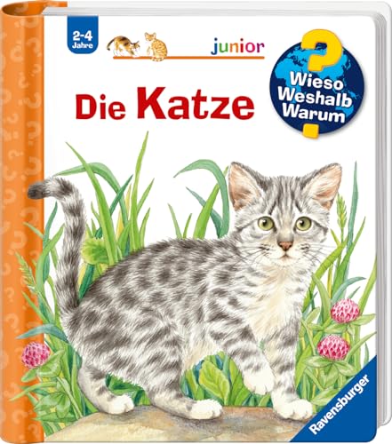 Die Katze