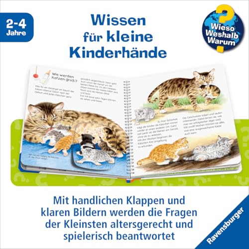 Die Katze (Wieso? Weshalb? Warum? junior, Band 21) - 6