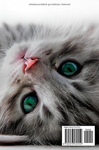 Katzenerziehung: Katzen besser verstehen: Wohnungskatzen glücklich machen - 2