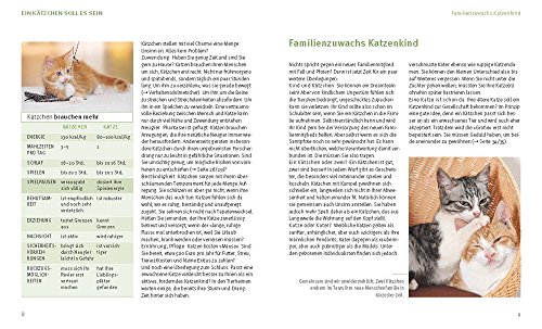 Unser Kätzchen: Was Katzenkinder brauchen - 3