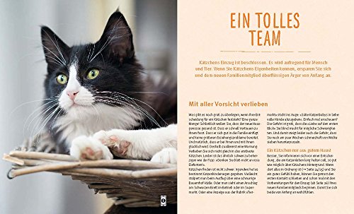 Unser Kätzchen: Was Katzenkinder brauchen - 5