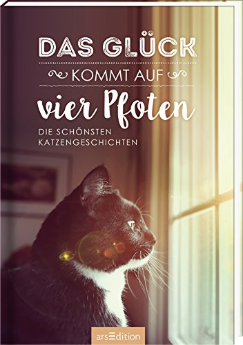 Das Glück kommt auf vier Pfoten