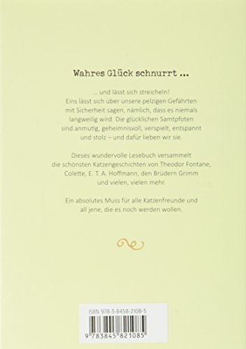 Das Glück kommt auf vier Pfoten: Die schönsten Katzengeschichten - 2