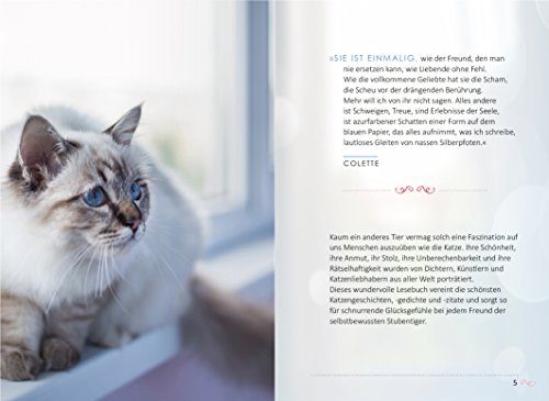 Das Glück kommt auf vier Pfoten: Die schönsten Katzengeschichten - 3