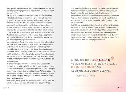 Das Glück kommt auf vier Pfoten: Die schönsten Katzengeschichten - 4