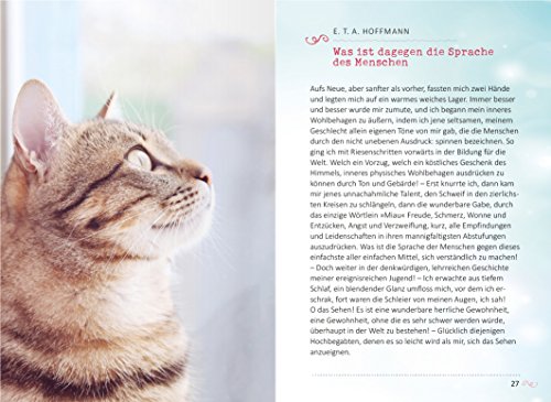 Das Glück kommt auf vier Pfoten: Die schönsten Katzengeschichten - 6