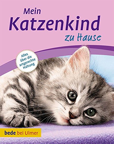 Mein Katzenkind zu Hause