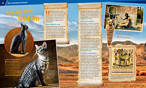 WAS IST WAS Band 59 Katzen. Flinke Jäger auf Samtpfoten (WAS IST WAS Sachbuch, Band 59) - 6