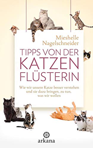 Tipps von der Katzenflüsterin – Katzen verstehen & richtig erziehen