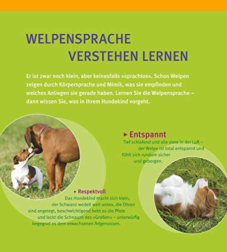 Welpen-Erziehung: Der 8-Wochen-Trainingsplan für Welpen. Plus Junghund-Training vom 5. bis 12. Monat (GU Tier Spezial) - 2