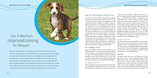 Welpen-Erziehung: Der 8-Wochen-Trainingsplan für Welpen. Plus Junghund-Training vom 5. bis 12. Monat (GU Tier Spezial) - 5