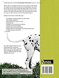Das große Schnüffelbuch: Nasenspiele für Hunde (Das besondere Hundebuch) - 2