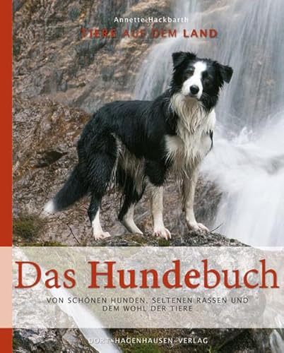 Das Hundebuch – Schöne Hunde, seltene Rassen & Tierwohl
