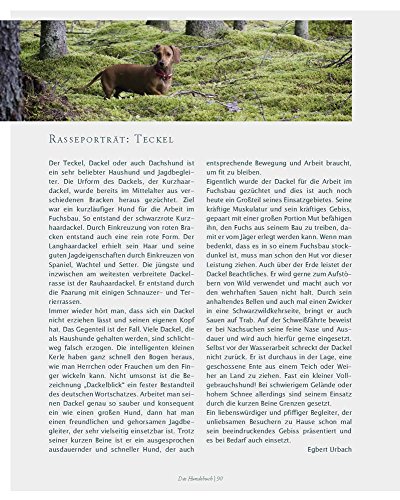 Das Hundebuch: Von schönen Hunden, seltenen Rassen und dem Wohl der Tiere (Tiere auf dem Land) - 11