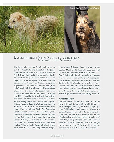 Das Hundebuch: Von schönen Hunden, seltenen Rassen und dem Wohl der Tiere (Tiere auf dem Land) - 10