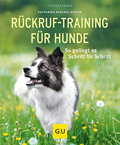 Rückruf-Training für Hunde – Schritt für Schritt zum Erfolg
