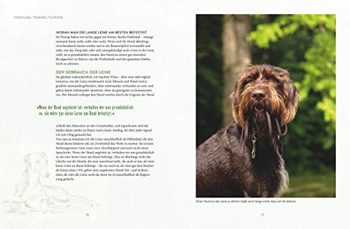 Leinen los! Freilauftraining für den Hund (GU Tier Spezial) - 5