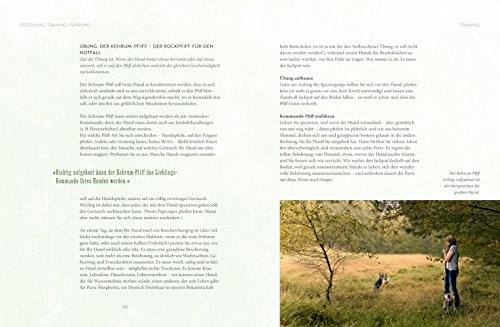 Leinen los! Freilauftraining für den Hund (GU Tier Spezial) - 8
