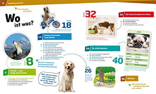 WAS IST WAS Band 11 Hunde. Helden auf vier Pfoten (WAS IST WAS Sachbuch, Band 11) - 4