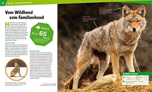 WAS IST WAS Band 11 Hunde. Helden auf vier Pfoten (WAS IST WAS Sachbuch, Band 11) - 9