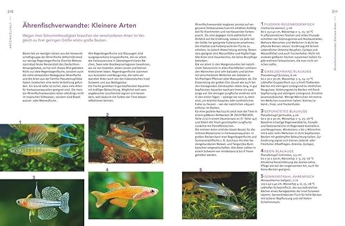 Praxishandbuch Aquarium: Mit über 400 Fischarten, Amphibien und Wirbellosen im Porträt. Der Bestseller jetzt komplett neu überarbeitet (GU Standardwerk) - 13
