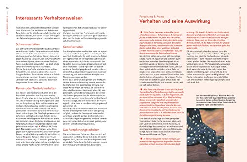 Praxishandbuch Aquarium: Mit über 400 Fischarten, Amphibien und Wirbellosen im Porträt. Der Bestseller jetzt komplett neu überarbeitet (GU Standardwerk) - 3