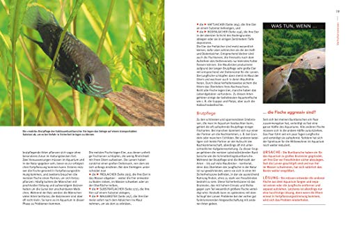 Praxishandbuch Aquarium: Mit über 400 Fischarten, Amphibien und Wirbellosen im Porträt. Der Bestseller jetzt komplett neu überarbeitet (GU Standardwerk) - 4