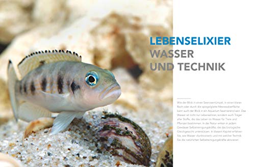 Praxishandbuch Aquarium: Mit über 400 Fischarten, Amphibien und Wirbellosen im Porträt. Der Bestseller jetzt komplett neu überarbeitet (GU Standardwerk) - 5