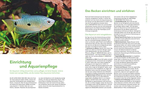 Praxishandbuch Aquarium: Mit über 400 Fischarten, Amphibien und Wirbellosen im Porträt. Der Bestseller jetzt komplett neu überarbeitet (GU Standardwerk) - 6