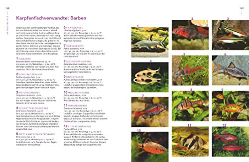 Praxishandbuch Aquarium: Mit über 400 Fischarten, Amphibien und Wirbellosen im Porträt. Der Bestseller jetzt komplett neu überarbeitet (GU Standardwerk) - 7
