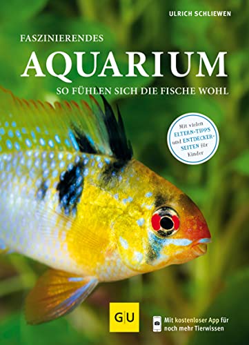 Faszinierendes Aquarium: So fühlen sich die Fische wohl