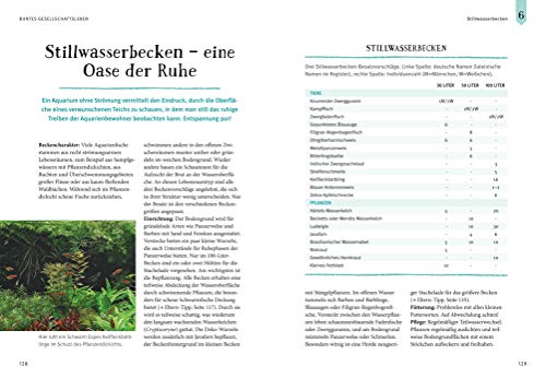 Faszinierendes Aquarium: So fühlen sich die Fische wohl. Mit Eltern-Tipps (GU Mein Heimtier) - 12