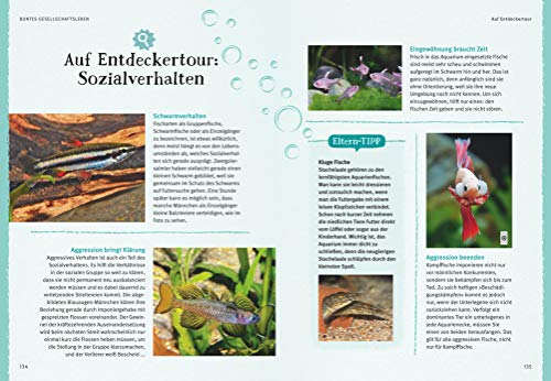 Faszinierendes Aquarium: So fühlen sich die Fische wohl. Mit Eltern-Tipps (GU Mein Heimtier) - 13