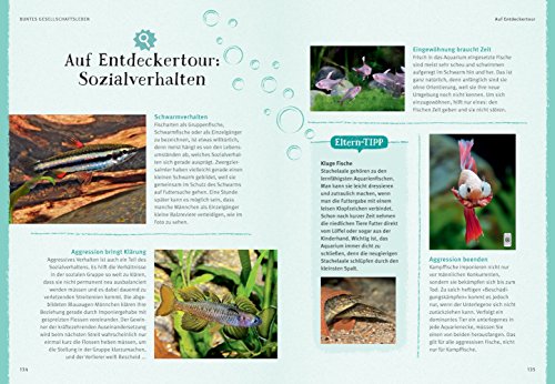 Faszinierendes Aquarium: So fühlen sich die Fische wohl. Mit Eltern-Tipps (GU Mein Heimtier) - 14
