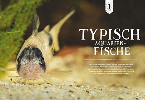Faszinierendes Aquarium: So fühlen sich die Fische wohl. Mit Eltern-Tipps (GU Mein Heimtier) - 5