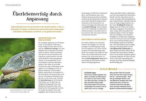 Faszinierendes Aquarium: So fühlen sich die Fische wohl. Mit Eltern-Tipps (GU Mein Heimtier) - 6