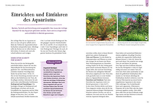 Faszinierendes Aquarium: So fühlen sich die Fische wohl. Mit Eltern-Tipps (GU Mein Heimtier) - 8
