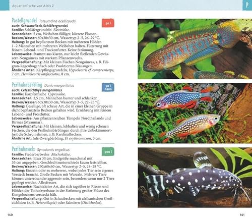 Aquarienfische von A bis Z: Über 300 beliebte Süßwasserfische im Porträt. Plus: Fische fürs Nano-Aquarium, Garnelen & Co. (GU Der große Kompass) - 12