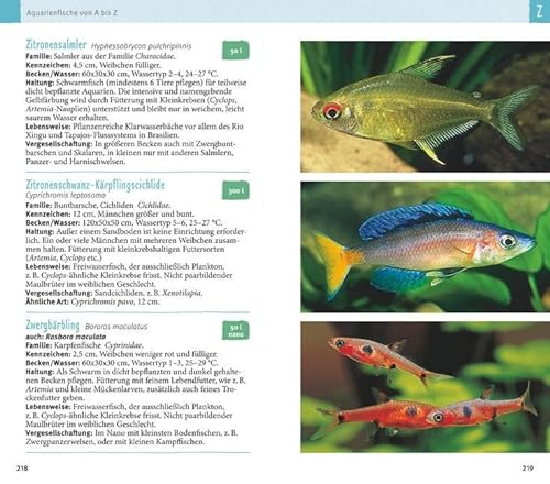 Aquarienfische von A bis Z: Über 300 beliebte Süßwasserfische im Porträt. Plus: Fische fürs Nano-Aquarium, Garnelen & Co. (GU Der große Kompass) - 13