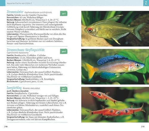 Aquarienfische von A bis Z: Über 300 beliebte Süßwasserfische im Porträt. Plus: Fische fürs Nano-Aquarium, Garnelen & Co. (GU Der große Kompass) - 13