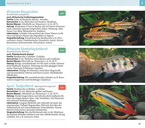 Aquarienfische von A bis Z: Über 300 beliebte Süßwasserfische im Porträt. Plus: Fische fürs Nano-Aquarium, Garnelen & Co. (GU Der große Kompass) - 7