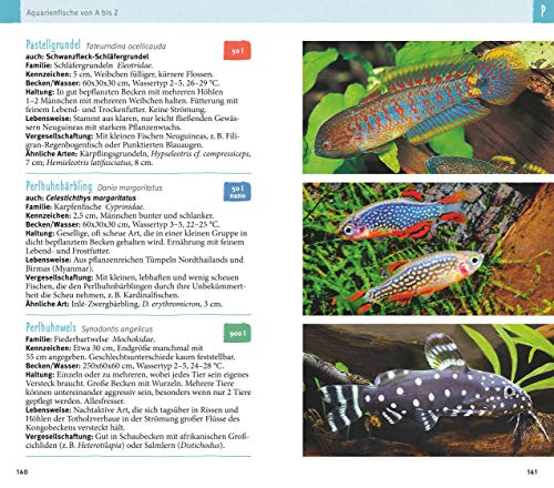 Aquarienfische von A bis Z: Über 300 beliebte Süßwasserfische im Porträt. Plus: Fische fürs Nano-Aquarium, Garnelen & Co. (GU Der große Kompass) - 8