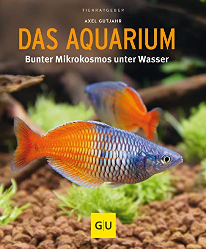 Das Aquarium: Bunter Mikrokosmos im Becken
