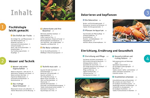 Aquarium, Das große GU Praxishandbuch - 2